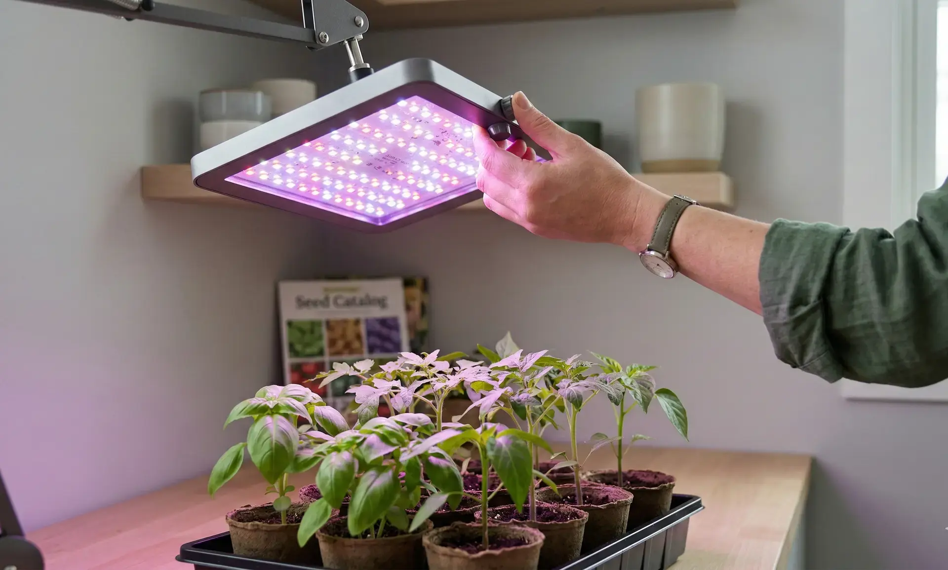 Grow lights
