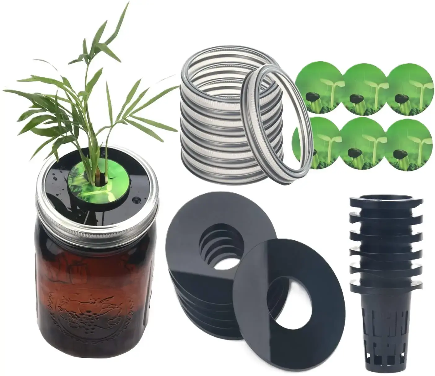 Kratky mason jar hydroponic kit with wide-mouth lid insert for growing herbs and leafy greens