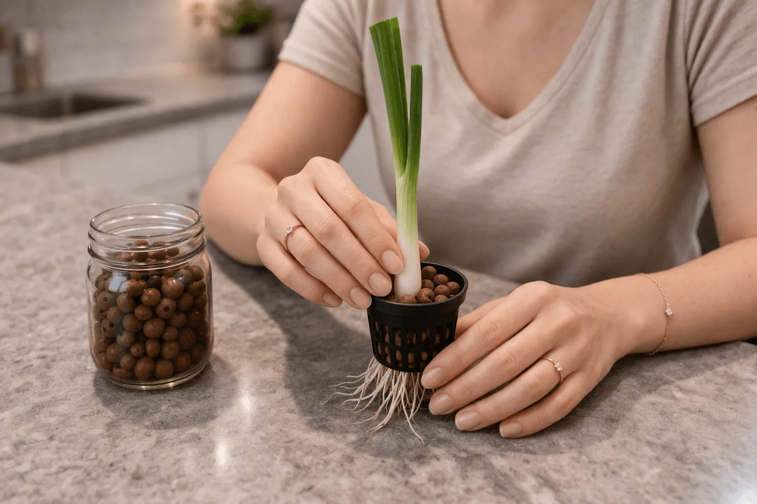 Hands pressing a green onion root base into a black net pot filled with clay pebbles on an apartment kitchen counter with the white roots visible through the pot holes