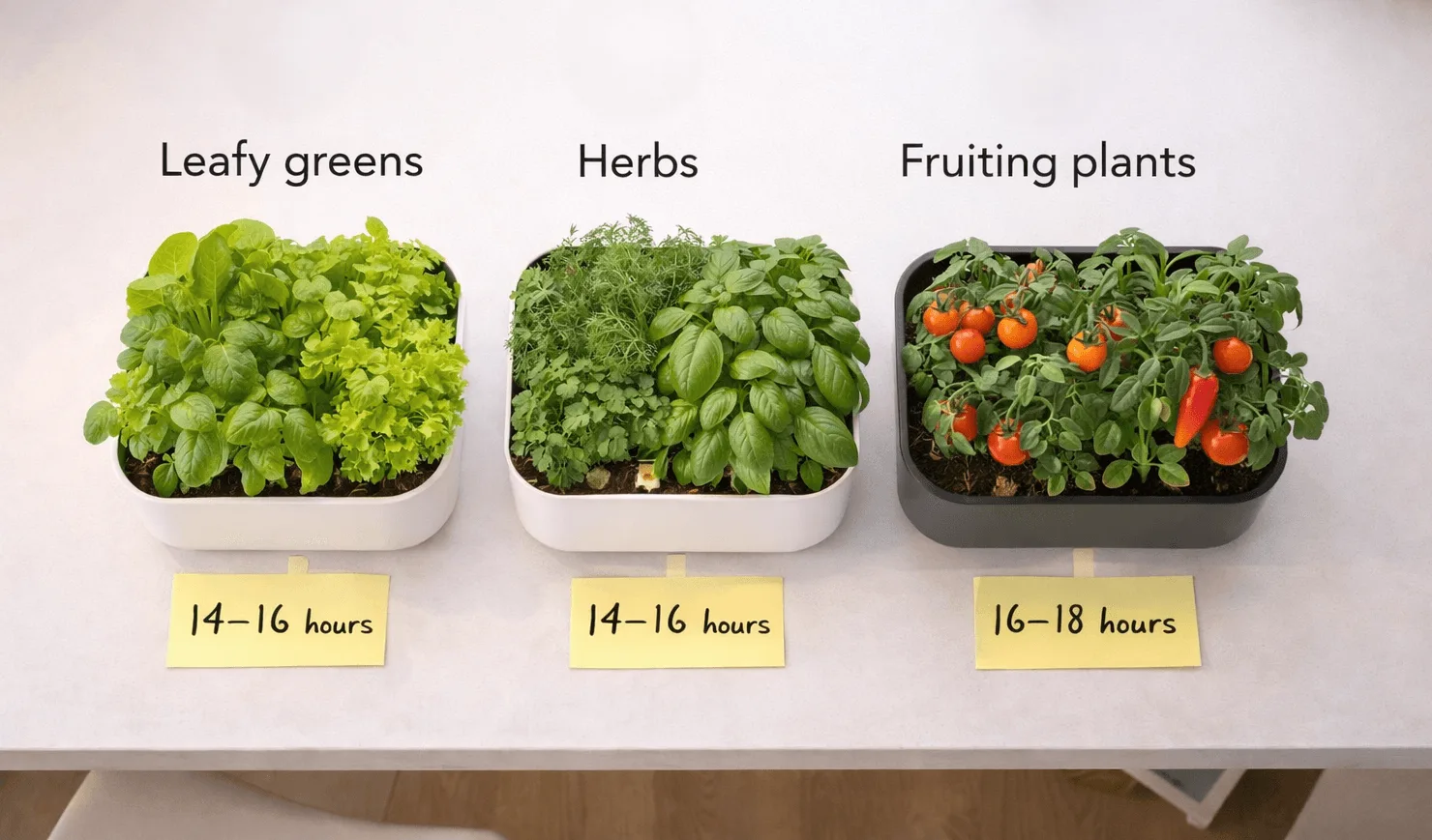 Three apartment hydroponic setups for leafy greens, herbs, and fruiting plants with light duration labels showing their ideal daily light hours.