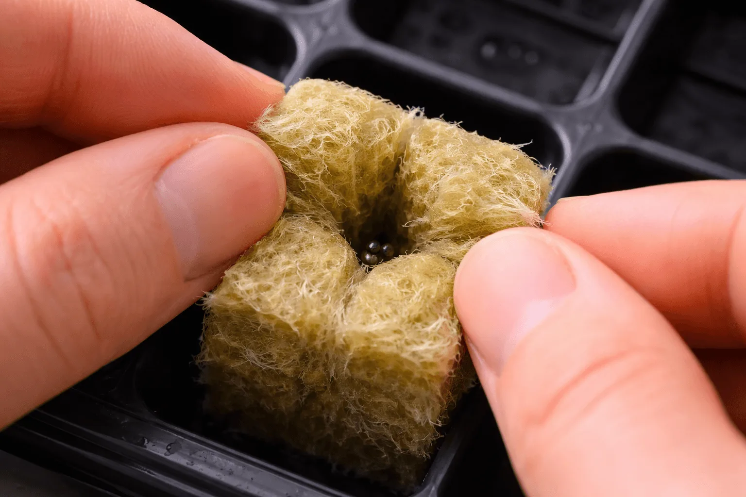 Fingers gently pinching the top of a rockwool cube closed after placing herb seeds about a quarter inch deep in the planting hole