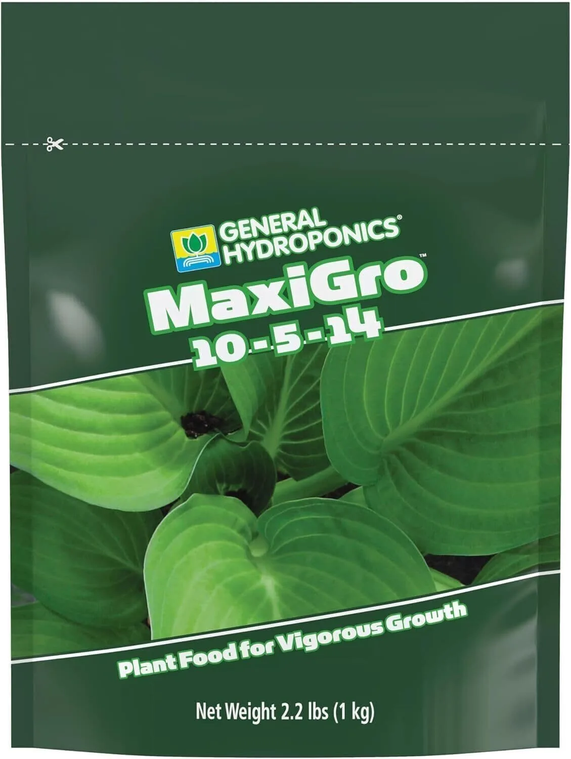 best hydroponic nutrients for small systems including dry MaxiGro plant food