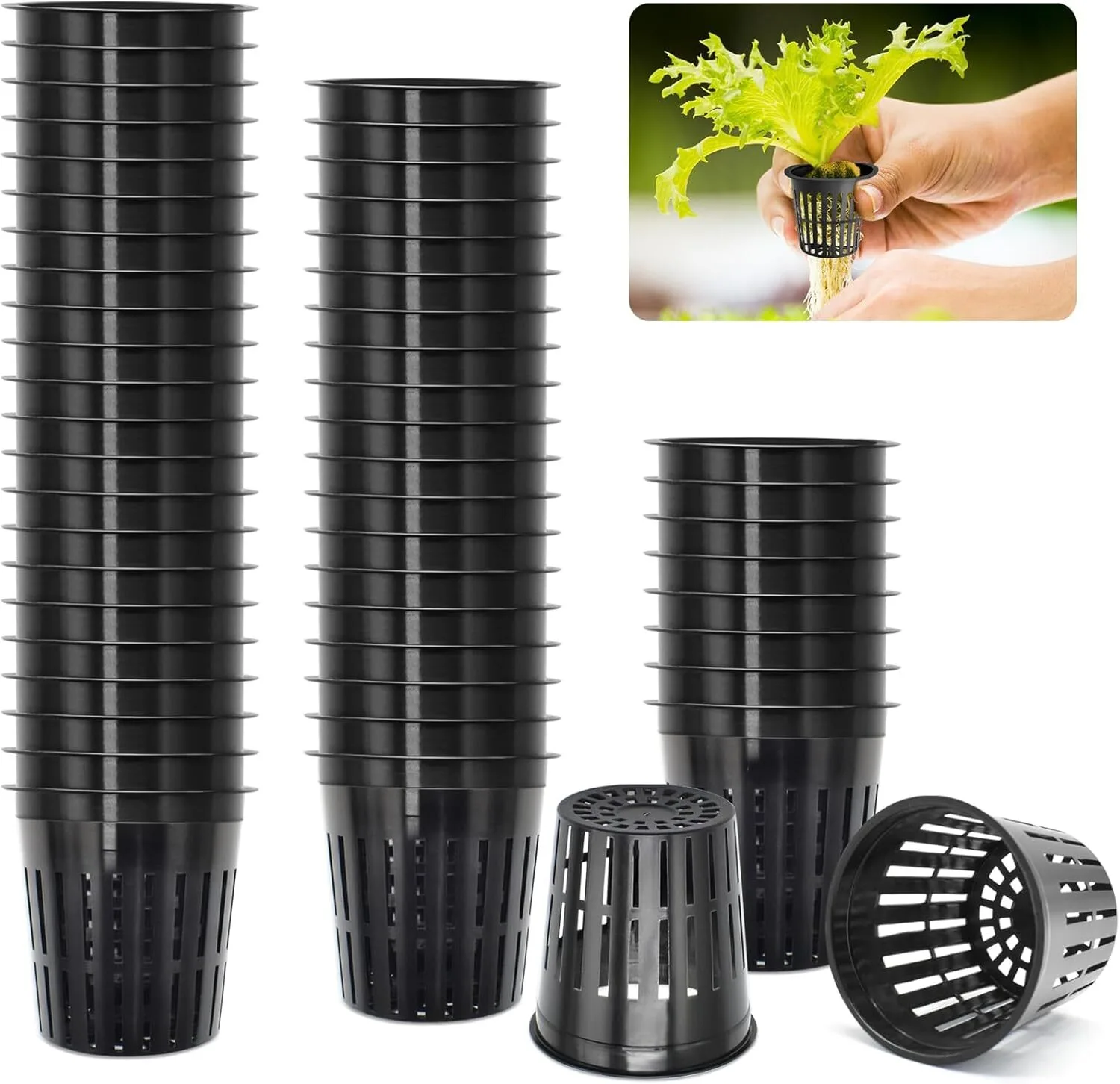 ZeeDix 2-inch net cups sitting inside wide-mouth mason jar lids on a kitchen counter