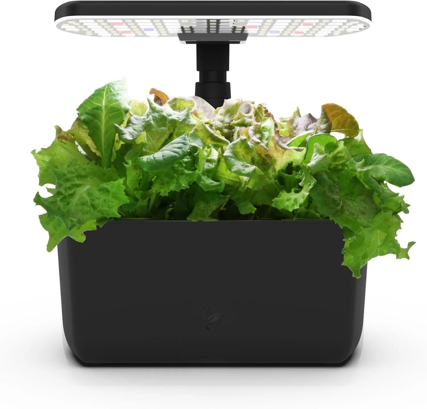 AeroGarden Harvest Lite 6-pod countertop hydroponic system with basil growing