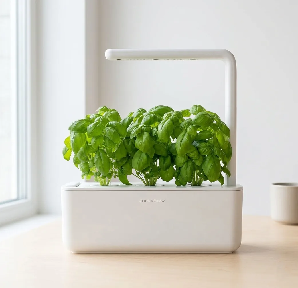 Click and Grow Smart Garden 3 in white on a clean apartment desk with three basil plants growing under the LED arm